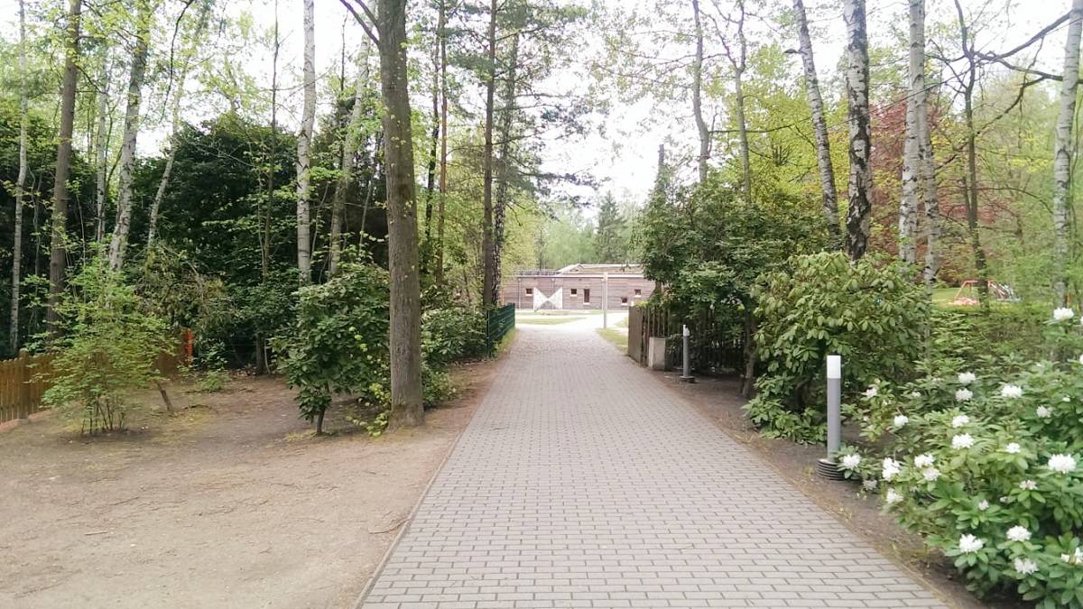 Waldkindergarten